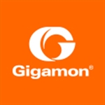 Picture of Gigamon - GigaSECURE